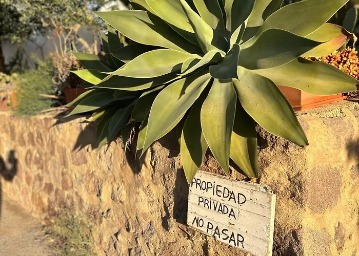 Casa Rous